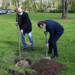 Na zdjęciu - dr Paweł Trefler, prof. PANS oraz Kanclerz - Tomasz J. Filozof podczas sadzenia drzew