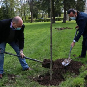 Na zdjęciu - dr Paweł Trefler, prof. PANS oraz Kanclerz - Tomasz J. Filozof podczas sadzenia drzew