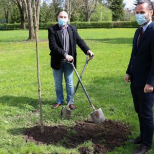 Na zdjęciu - dr Paweł Trefler, prof. PANS oraz Kanclerz - Tomasz J. Filozof podczas sadzenia drzew