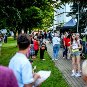 Na zdjęciu publiczność podczas koncertu
