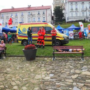 Na zdjęciu ambulans
