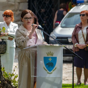 Wicewojewoda Podkarpacki - Jolanta Sawicka - w trakcie przemówienia
