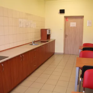 kuchnia - dwie płyty indukcyjne, mikrofalówka, kran, stoły oraz krzesła