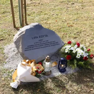 Odsłonięty obelisk