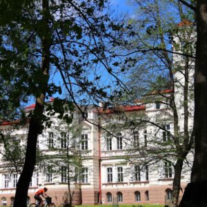 Pałac Lubomirskich za drzewami