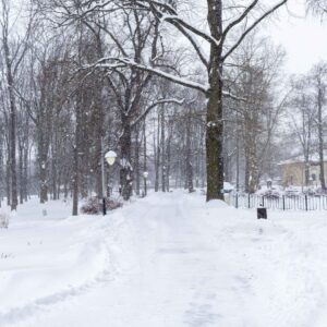 Park Lubomirskich