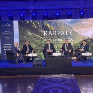 Obrady w ramach XI panelu (pośrodku dr S. Solecki)