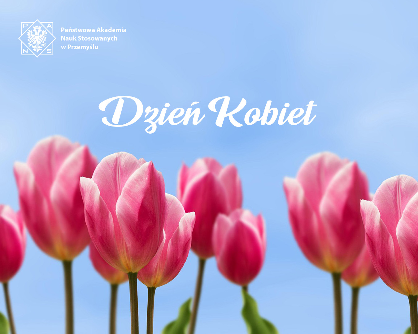 Życzenia JM Rektora PANS z okazji Dnia Kobiet
