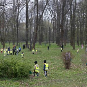 dzieci zbierają słodycze na terenie Parku Lubomirskich