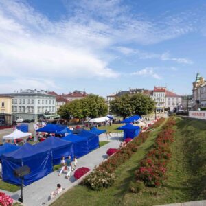 wystawcy na przemyskim Rynku