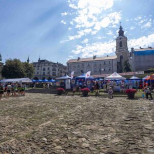 wystawcy na przemyskim Rynku